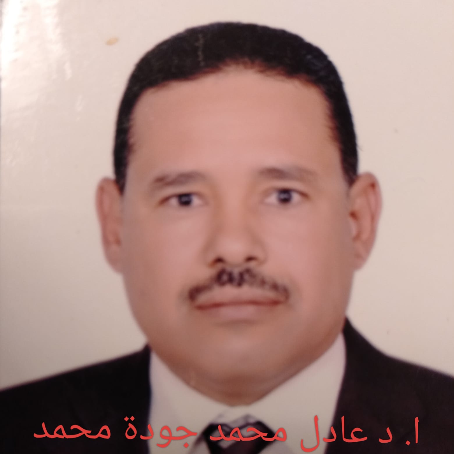 عادل محمد جودة محمد